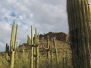photo thumbnail #1