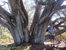 photo thumbnail #2