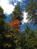 photo thumbnail #12