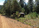 photo thumbnail #1