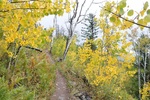 photo thumbnail #3