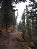 photo thumbnail #2