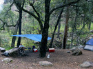 photo thumbnail #1