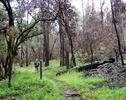 photo thumbnail #2