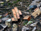 photo thumbnail #15