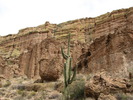 photo thumbnail #13