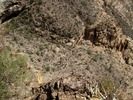 photo thumbnail #10