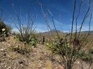 photo thumbnail #11