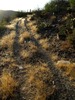 photo thumbnail #15