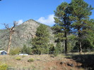 photo thumbnail #4