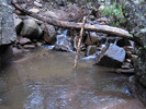 photo thumbnail #3