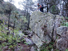 photo thumbnail #6