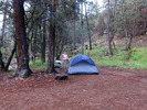photo thumbnail #7