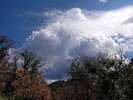 photo thumbnail #12