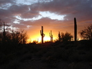 photo thumbnail #2