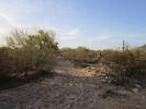 photo thumbnail #3