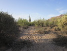 photo thumbnail #4
