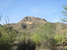 photo thumbnail #3