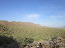 photo thumbnail #6