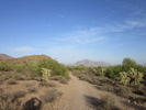 photo thumbnail #8