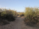 photo thumbnail #3