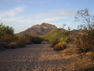 photo thumbnail #4