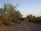 photo thumbnail #6