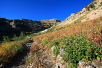 photo thumbnail #2