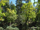 photo thumbnail #3