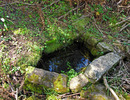 Featured Detail Photo