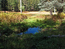 photo thumbnail #13