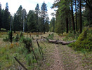 photo thumbnail #15