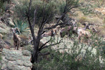 photo thumbnail #11