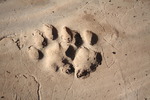 photo thumbnail #12