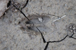 photo thumbnail #14