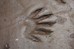 photo thumbnail #15
