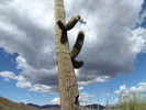 photo thumbnail #1