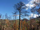 photo thumbnail #6