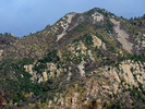 photo thumbnail #13