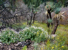 photo thumbnail #15