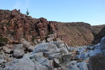 photo thumbnail #1