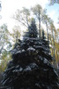 photo thumbnail #6