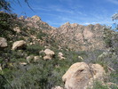 photo thumbnail #1