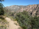 photo thumbnail #11