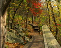 photo thumbnail #5