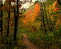 photo thumbnail #11