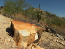 photo thumbnail #2