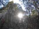 photo thumbnail #9