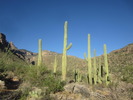 photo thumbnail #11