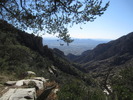 photo thumbnail #13